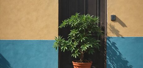 App Procon: Como Usar o Aplicativo para Defender seus Direitos de Consumidor