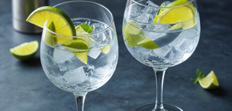 Descubra os Melhores Aplicativos de Drinks com Gin para Animar suas Noites