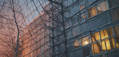 6 Dicas Essenciais para Criar um Wireframe Eficaz para Aplicativos